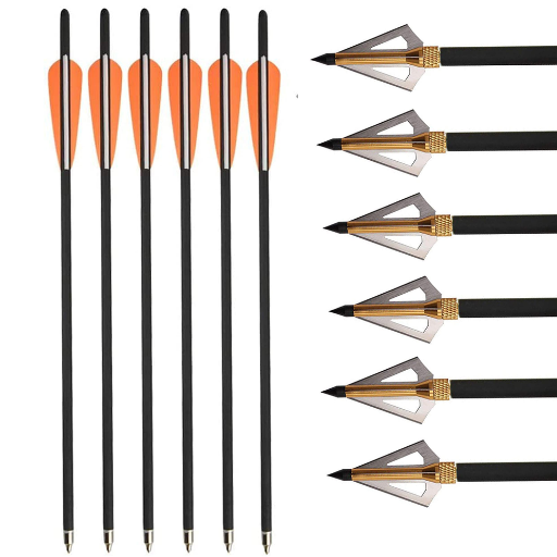 Can You Use Bolts or Arrows Interchangeably